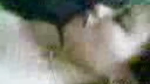 بهترین جوانان, رابطه جنسی بدون ثبت نام شما می خواهید کانال سکسی خارجی تلگرام من برده بود